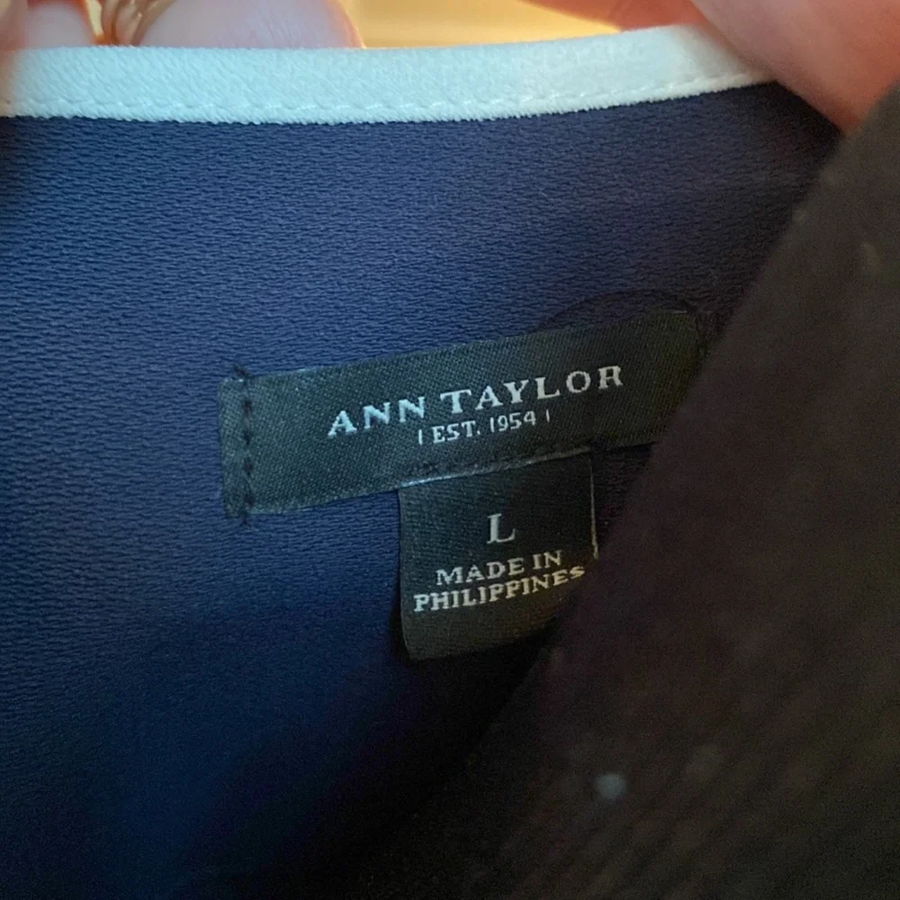 Ann Taylor Large Sleeveless Dress - Picture 4 of 5